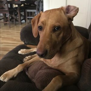 Meet your Posher, Kristen